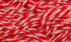 Etiam commodo convallis