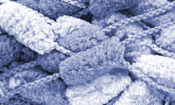 Etiam dictum egestas